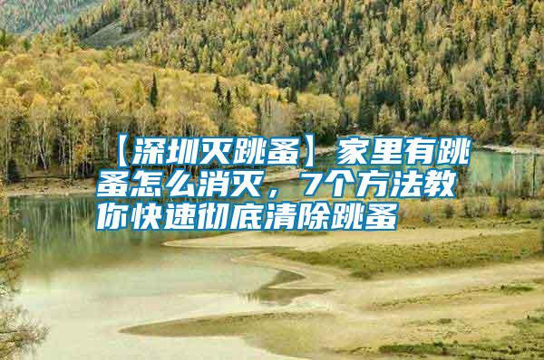 【深圳灭跳蚤】家里有跳蚤怎么消灭，7个方法教你快速彻底清除跳蚤