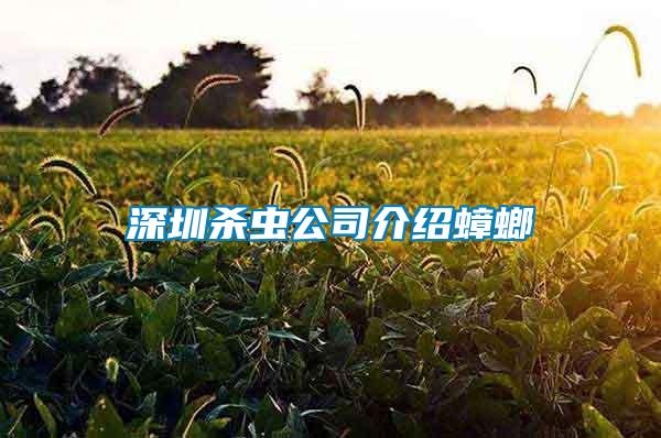 深圳杀虫公司介绍蟑螂