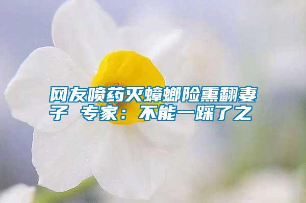 网友喷药灭蟑螂险熏翻妻子 专家：不能一踩了之