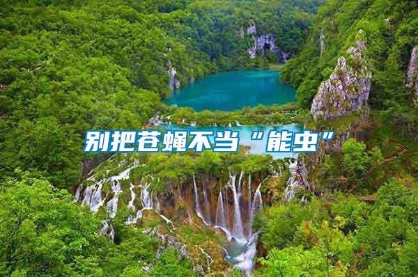 别把苍蝇不当“能虫”