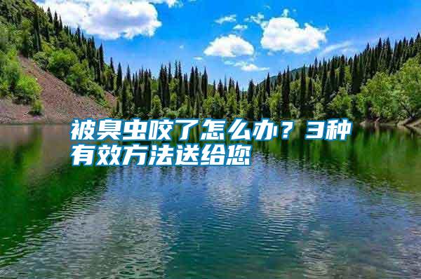 被臭虫咬了怎么办？3种有效方法送给您