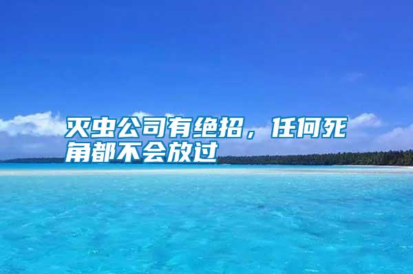 灭虫公司有绝招，任何死角都不会放过