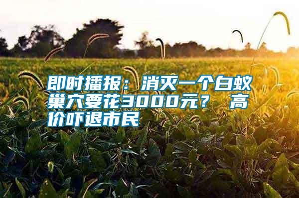 即时播报：消灭一个白蚁巢穴要花3000元？ 高价吓退市民