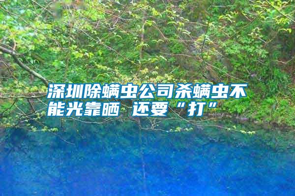 深圳除螨虫公司杀螨虫不能光靠晒 还要“打”