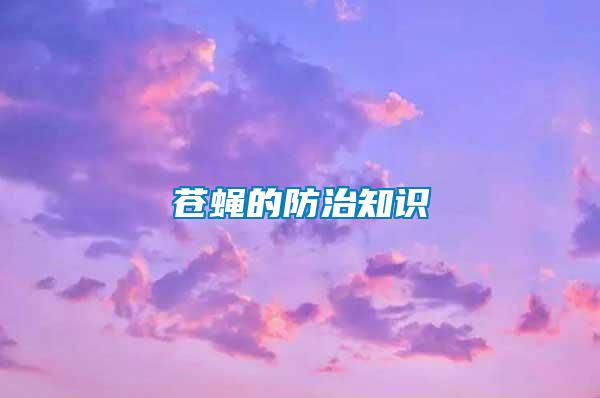 苍蝇的防治知识