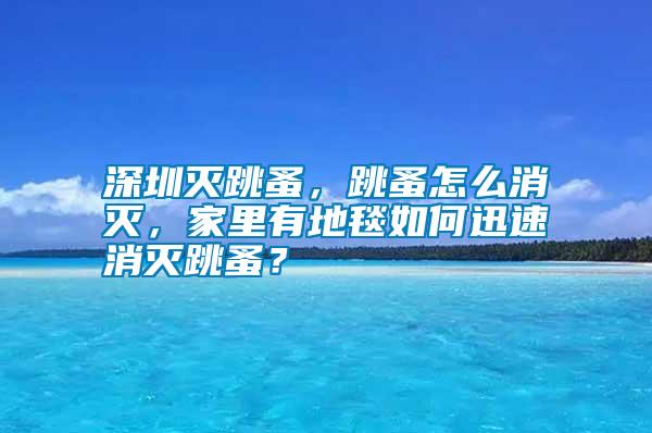深圳灭跳蚤，跳蚤怎么消灭，家里有地毯如何迅速消灭跳蚤？