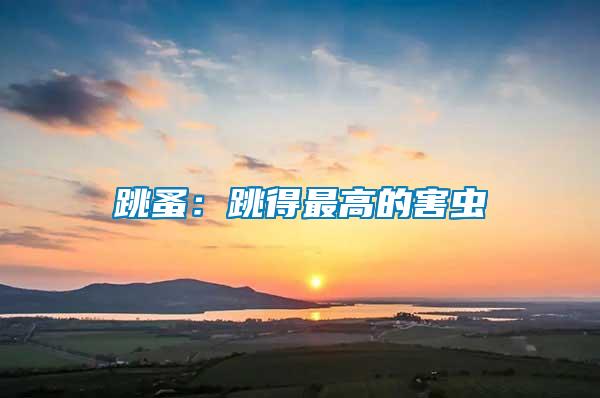 跳蚤：跳得最高的害虫