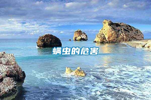 螨虫的危害