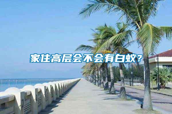 家住高层会不会有白蚁？