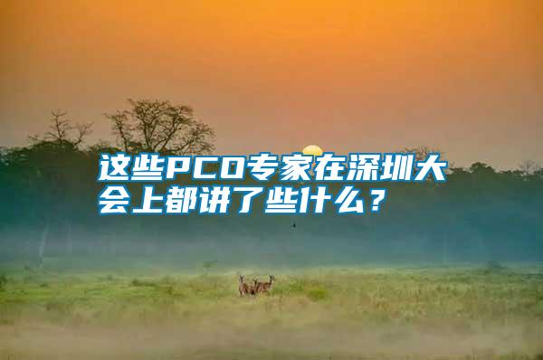 这些PCO专家在深圳大会上都讲了些什么？