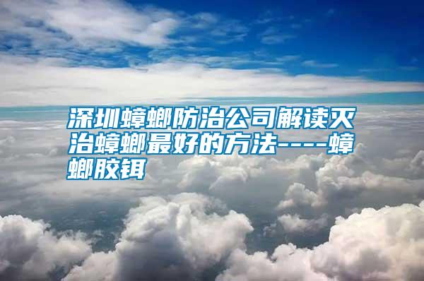 深圳蟑螂防治公司解读灭治蟑螂最好的方法----蟑螂胶铒