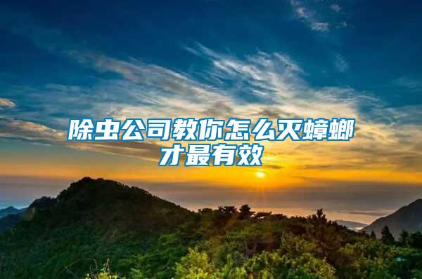 除虫公司教你怎么灭蟑螂才最有效