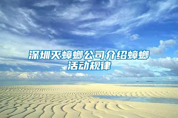 深圳灭蟑螂公司介绍蟑螂活动规律