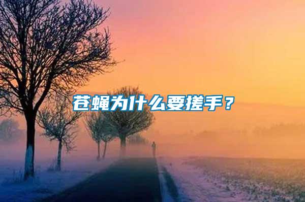 苍蝇为什么要搓手？