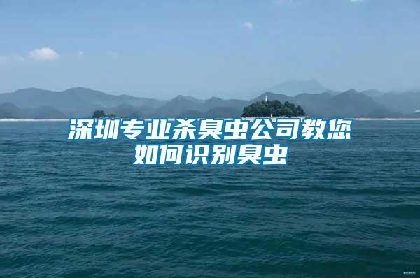 深圳专业杀臭虫公司教您如何识别臭虫