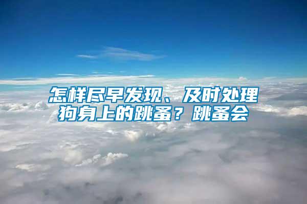 怎样尽早发现、及时处理狗身上的跳蚤？跳蚤会