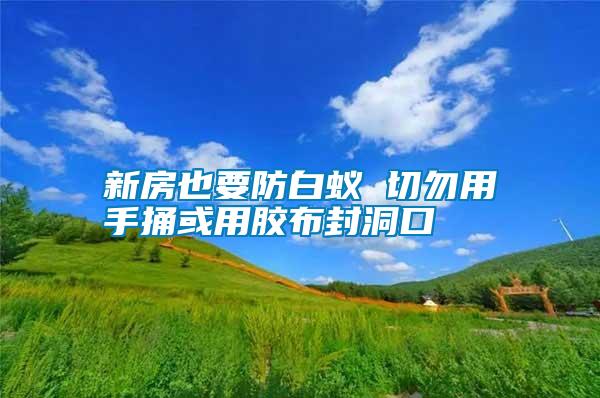 新房也要防白蚁 切勿用手捅或用胶布封洞口