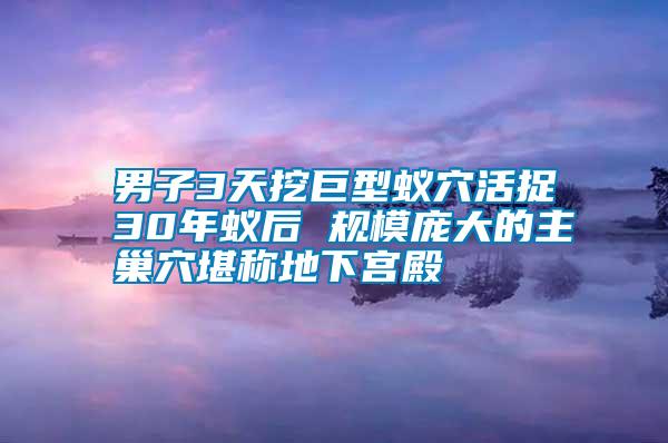 男子3天挖巨型蚁穴活捉30年蚁后 规模庞大的主巢穴堪称地下宫殿