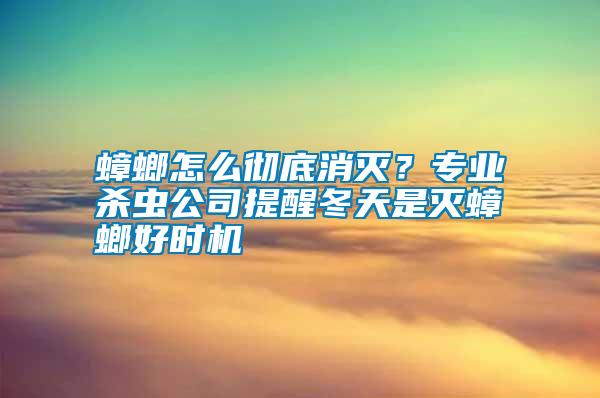 蟑螂怎么彻底消灭？专业杀虫公司提醒冬天是灭蟑螂好时机