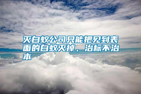 灭白蚁公司只能把见到表面的白蚁灭掉，治标不治本