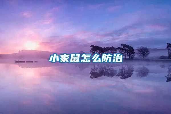 小家鼠怎么防治