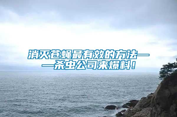 消灭苍蝇最有效的方法——杀虫公司来爆料！