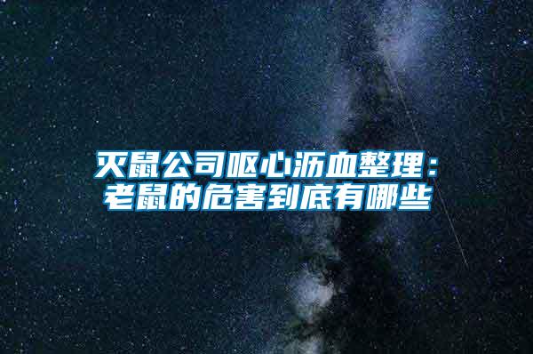 灭鼠公司呕心沥血整理：老鼠的危害到底有哪些