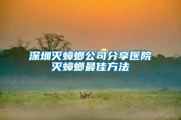 深圳灭蟑螂公司分享医院灭蟑螂最佳方法