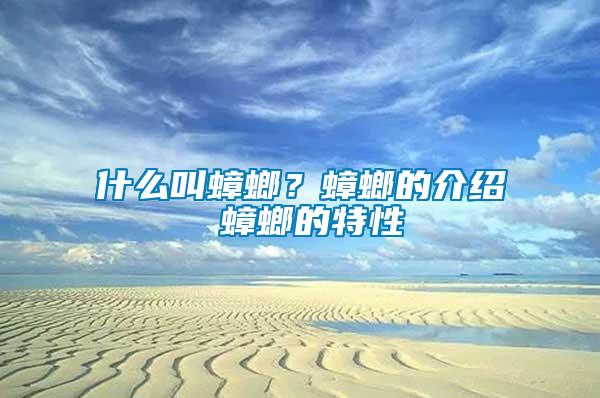 什么叫蟑螂？蟑螂的介绍 蟑螂的特性