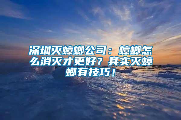 深圳灭蟑螂公司：蟑螂怎么消灭才更好？其实灭蟑螂有技巧！