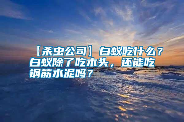 【杀虫公司】白蚁吃什么？白蚁除了吃木头，还能吃钢筋水泥吗？