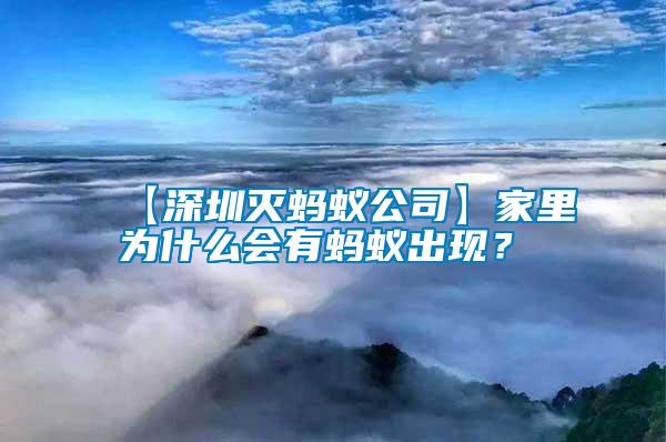 【深圳灭蚂蚁公司】家里为什么会有蚂蚁出现？