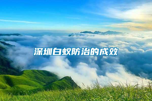 深圳白蚁防治的成效