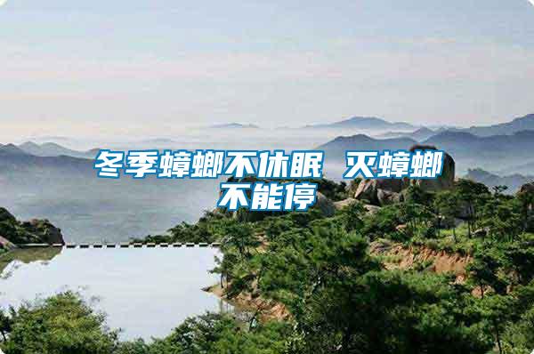 冬季蟑螂不休眠 灭蟑螂不能停