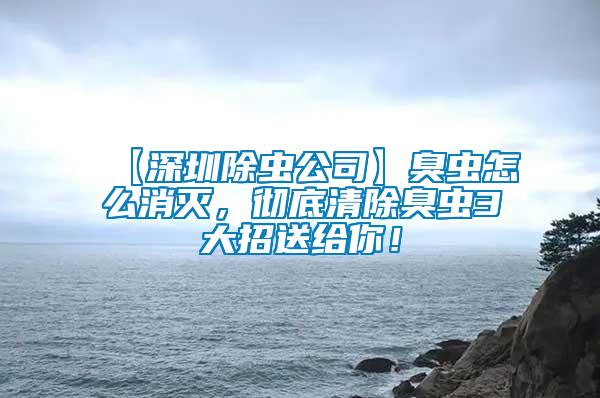 【深圳除虫公司】臭虫怎么消灭，彻底清除臭虫3大招送给你！