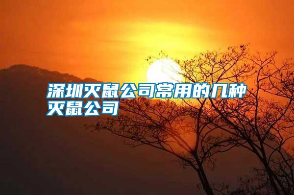 深圳灭鼠公司常用的几种灭鼠公司