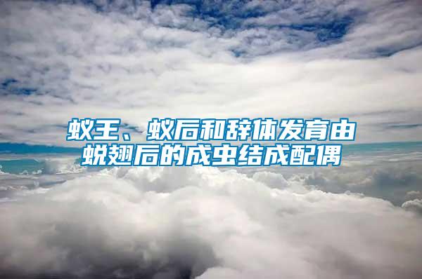 蚁王、蚁后和辞体发育由蜕翅后的成虫结成配偶