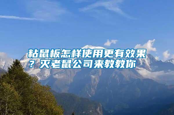 粘鼠板怎样使用更有效果？灭老鼠公司来教教你