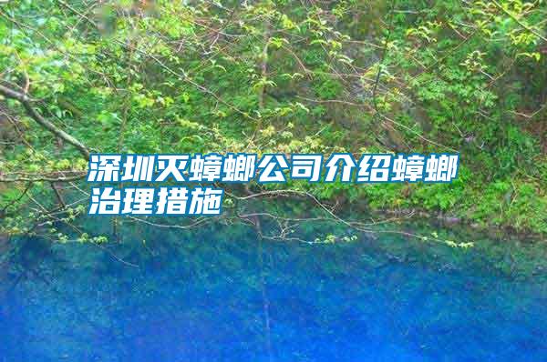 深圳灭蟑螂公司介绍蟑螂治理措施