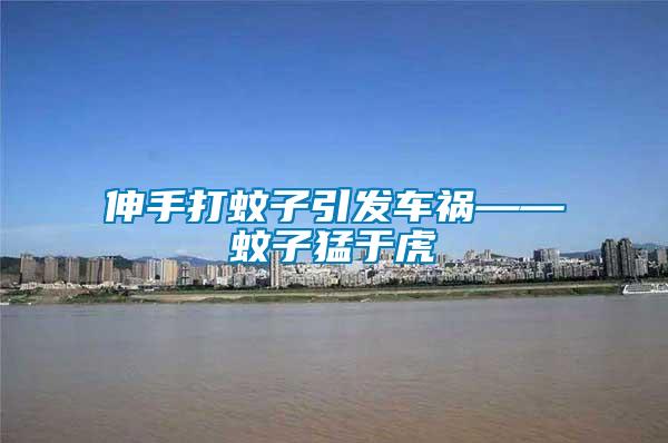 伸手打蚊子引发车祸——蚊子猛于虎