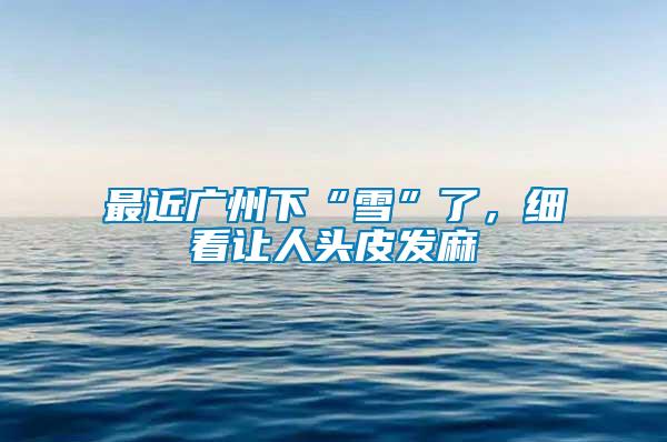 最近广州下“雪”了，细看让人头皮发麻