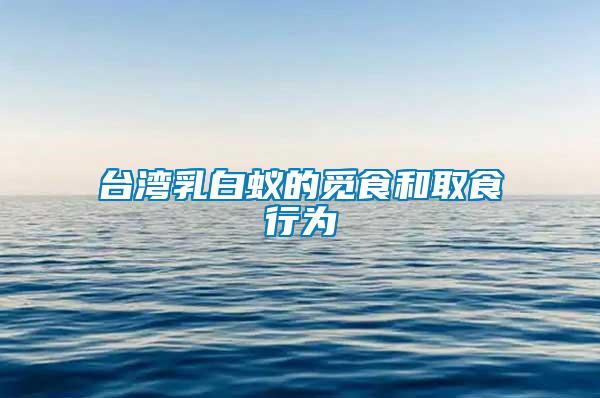 台湾乳白蚁的觅食和取食行为