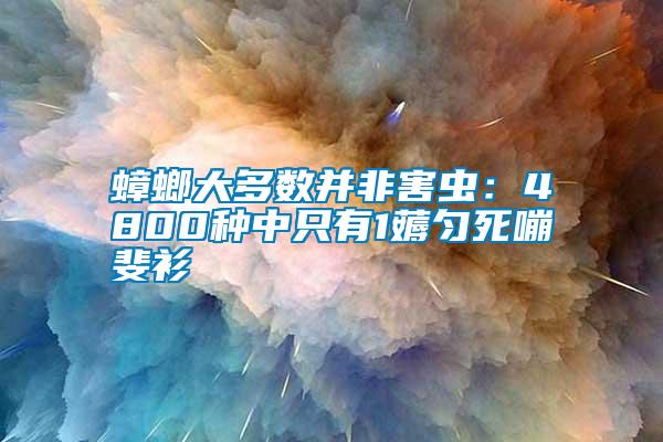 蟑螂大多数并非害虫：4800种中只有1薅匀死嘣斐衫