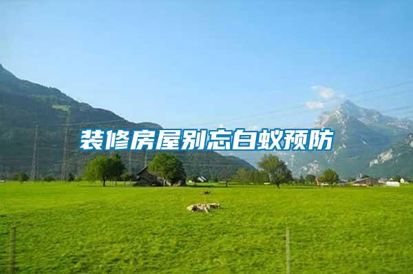 装修房屋别忘白蚁预防