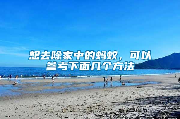 想去除家中的蚂蚁，可以参考下面几个方法