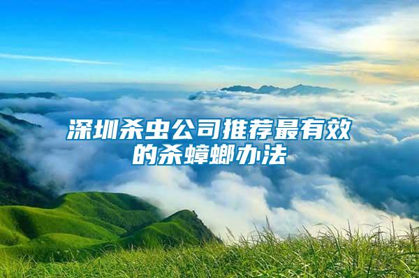 深圳杀虫公司推荐最有效的杀蟑螂办法