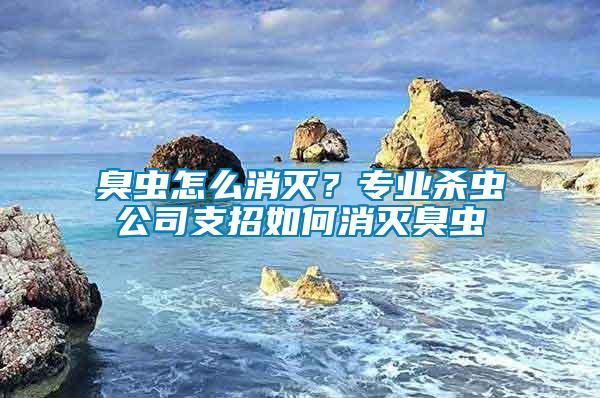 臭虫怎么消灭？专业杀虫公司支招如何消灭臭虫