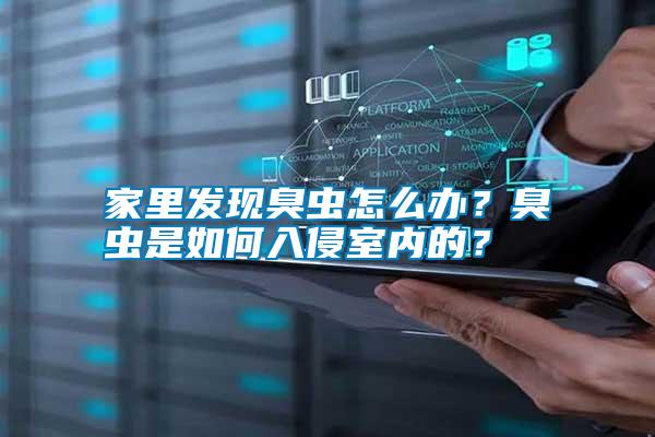 家里发现臭虫怎么办？臭虫是如何入侵室内的？