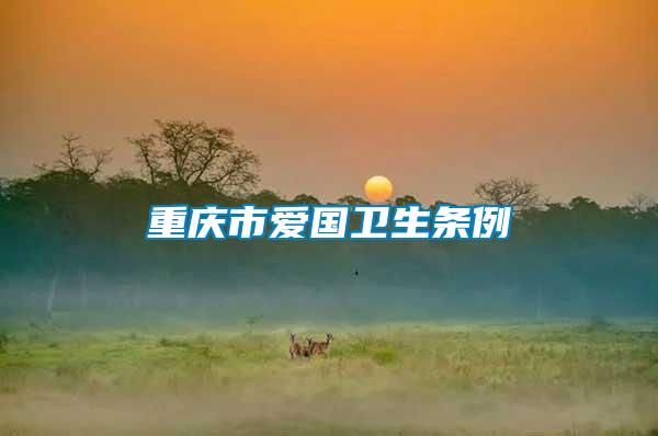 重庆市爱国卫生条例