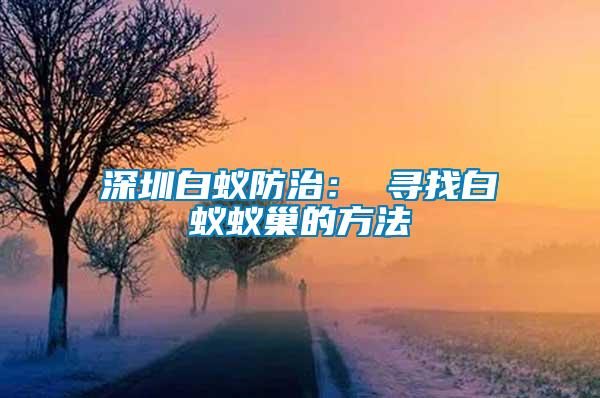 深圳白蚁防治： 寻找白蚁蚁巢的方法